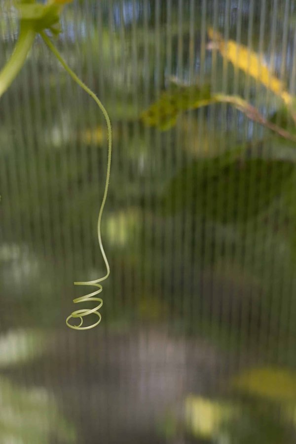 Comment aider un écureuil terrestre à s'adapter à un nouvel environnement captif?